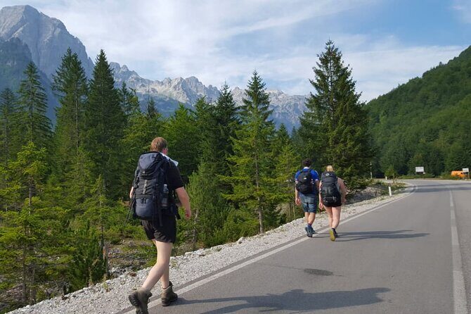 12 Day Self-guided Tour: Peaks of the Balkans - Babino Polje to Plav via Lake Hrid: quiet forest, then a lakeside payoff