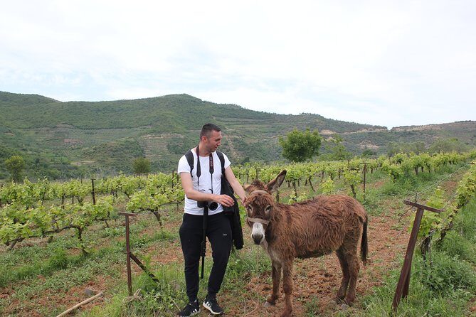 Albanian Highlights - UNESCO sites ,Nature and Food tour - Key Highlights You’ll Actually Feel