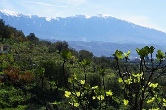 Ancients and Ottomans - Apollonia and Berat - Should you book Ancients and Ottomans: Apollonia and Berat?