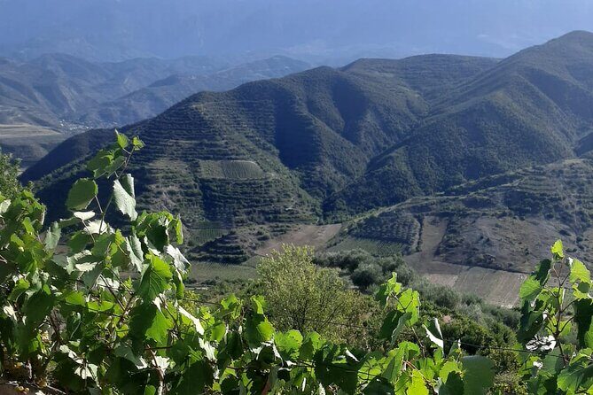 Berat 4x4 Off-Road and Vineyard Wine Tasting - Why this Malinat wine tasting starts with an off-road 4x4