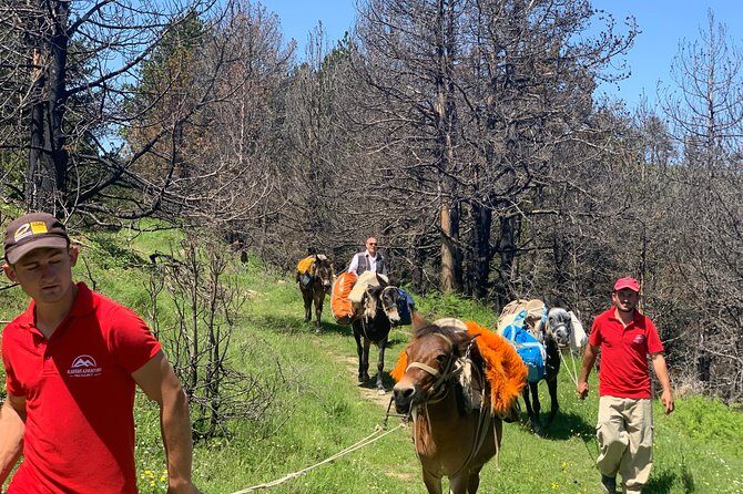 Berat Hiking Off Road picnic lunch in Tomori Holy Mount - From Berat to Qafe Dardhe: the off-road start you’ll feel