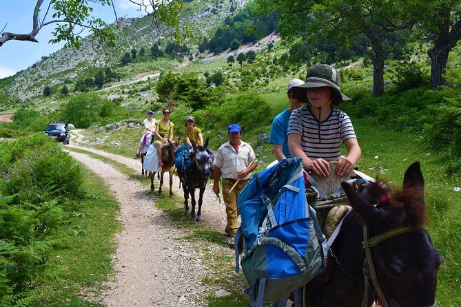 Berat Hiking Off Road picnic lunch in Tomori Holy Mount - Shepherds, mules, and a “slow is fast” way up