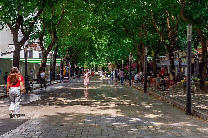 Cultural Tour in Tirana including House of Leaves - Et’hem Bey Mosque and the Tirana Clock Tower for big-city context