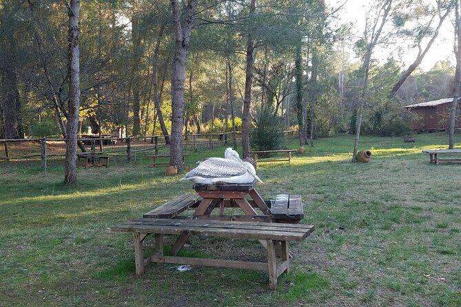 Day Tour of Berat and Karavasta Lagoon from Tirana&Durres - What the guides add (and why names matter here)