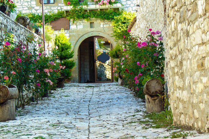 From Tirana: Private Berat Full-Day Trip, Private Guide/Car - Private car day from Tirana: comfort, timing, and driver skill