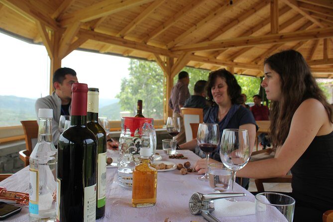 From Tirana Wine Tasting & Food tour in Berat - The guides: history in plain language, plus a human touch