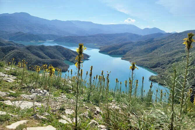 Hey Albania: Bovilla Afternoon Tour – Nature & Lake - Price and logistics: is $77.89 worth it?