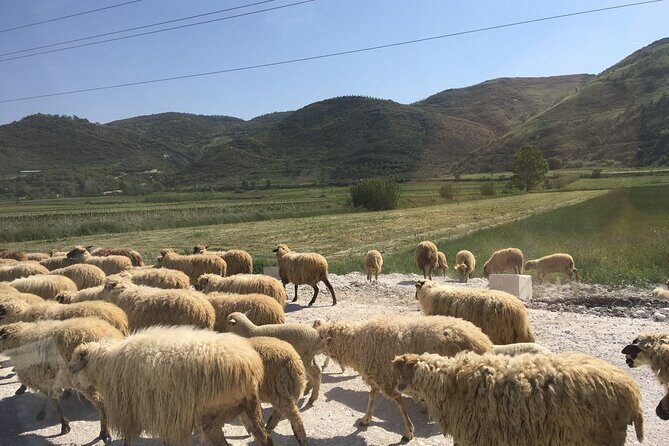 Outdoor Experience in Amantia Archeological Park & Brataj Bidge - A 4x4 Route That Mixes Drama and Practical Stops
