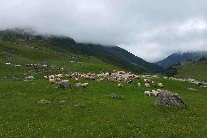 Peaks of the Balkans - 8 Days Tour - Valbona Valley National Park and the remote Kukaj feel