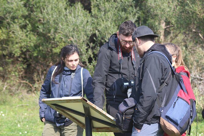 Private Birding Tour in Albania - Entering The Field From Tirana (Rinas Airport pickup)