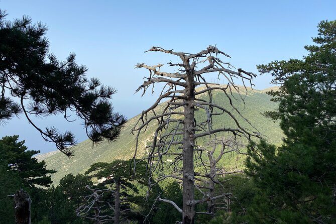 Private Hiking Tour in Çika Mountain - What’s included (and what’s on you)