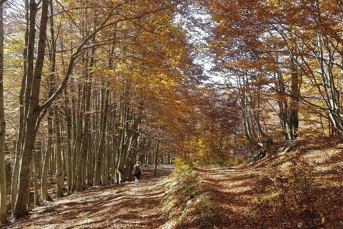 Self-guided: Peaks of the Balkans Tour in 8 days - From Tirana or Shkodra to Theth: why the start sets the tone
