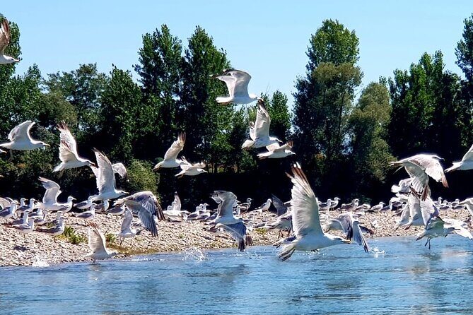 Stand Up Paddle at Skadar lake and Hiking from Valbona to Theth in 4 Days - Day 1: Tirana to Koman Lake ferry, then Valbona’s valley hiking