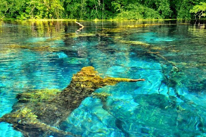 Visit The National Park of Blue Eye & Lekuresi castel - Quick take: Blue Eye and Lekuresi in one smooth half-day